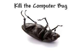 business computer bug 