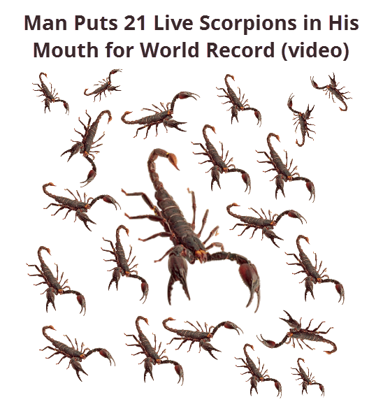 Man-Puts-21-Live-Scorpions-in-His-Mouth-for-World-Record-video.png