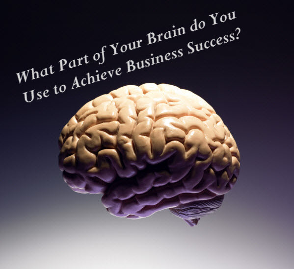 brain to achieve business success resized 600