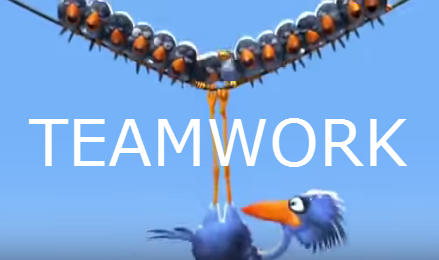 teamwork for the birds