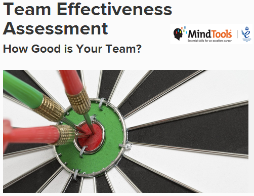 teamwork assessment mindtools