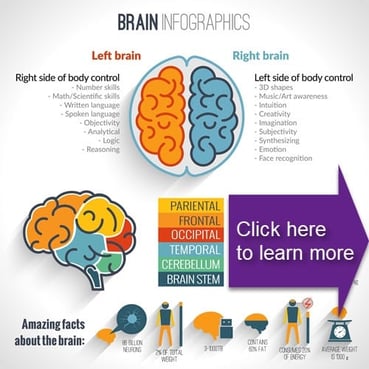 brain-infographics