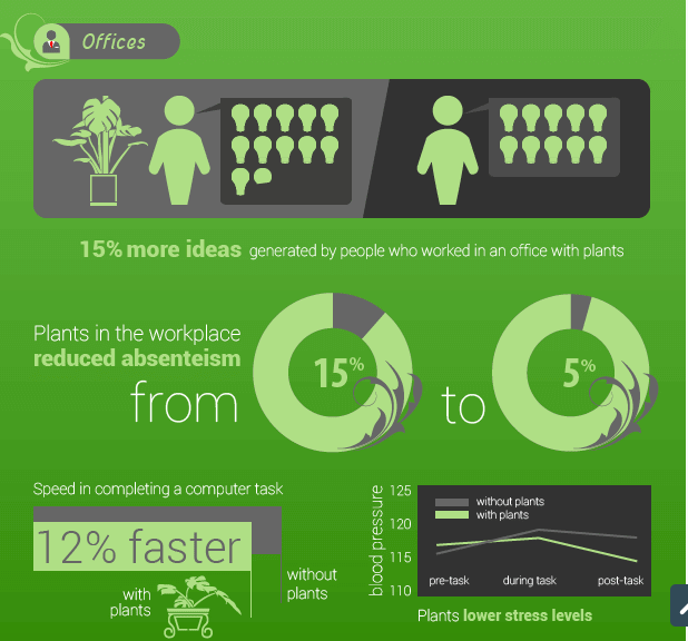 3-Quick-Ways-to-Green-Your-Corporate-Office-2