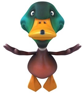 duck-story3.jpg