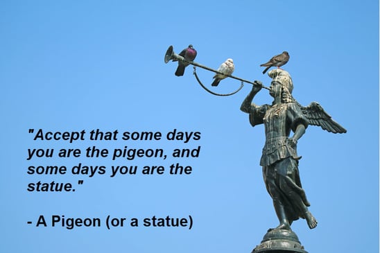 pigeon-quote